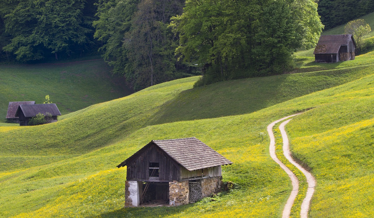 寶興縣域發(fā)展新動(dòng)態(tài)與社會(huì)熱點(diǎn)聚焦,最新新聞報(bào)道