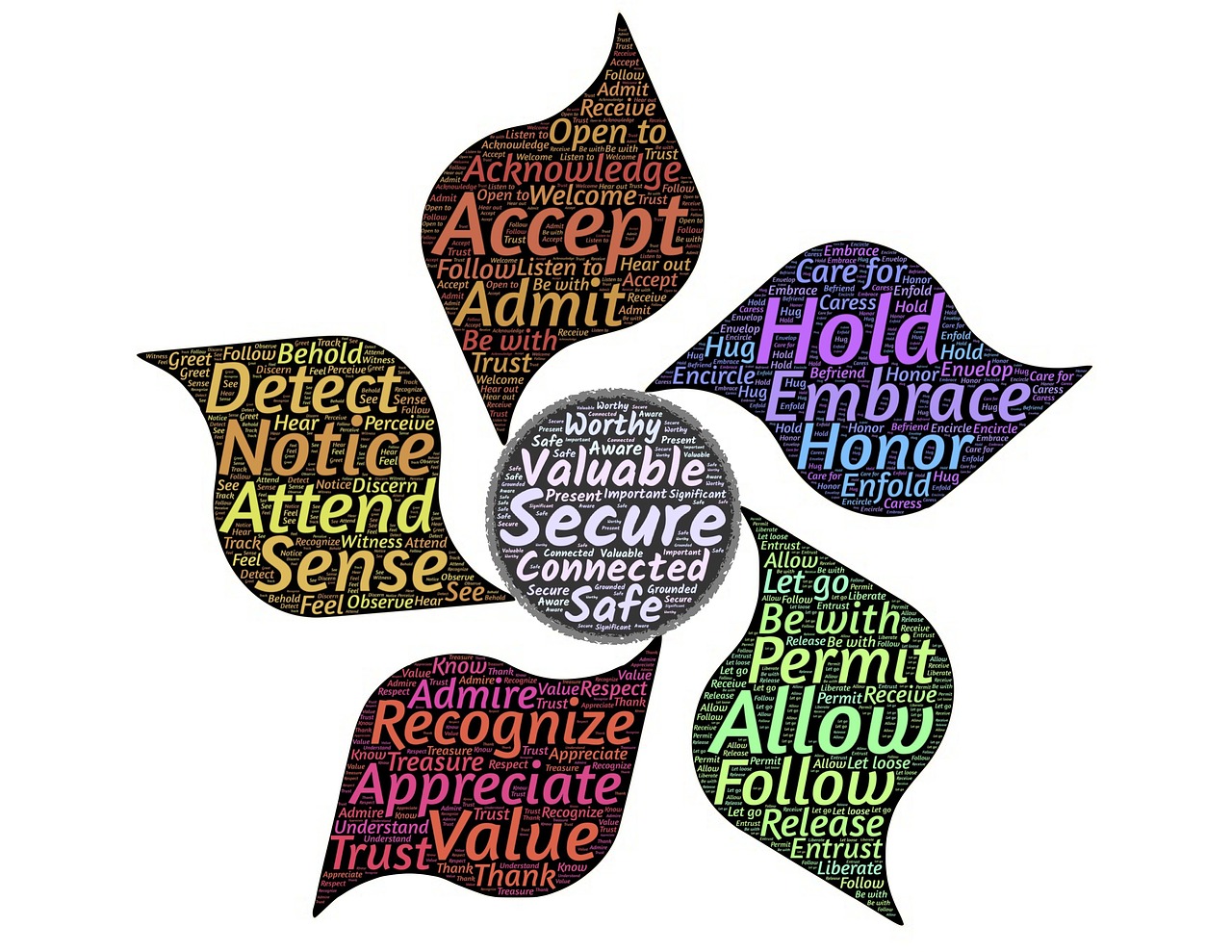 黃山事件最新動態,多方聯動共創和諧旅游環境